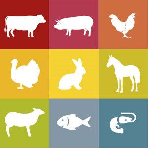 La carne e i suoi valori nell’alimentazione umana