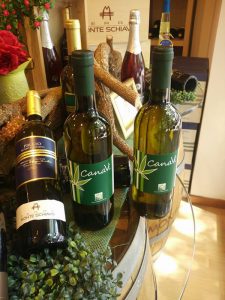 Canavì, dalle Marche il primo vino italiano ottenuto dalla canapa 