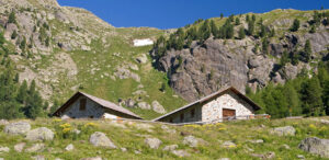 Trentino di Malga: un marchio per la tutela delle produzioni casearie d’alpeggio