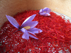 Prodotti tipici locali: Lo Zafferano di Cascia, crocus sativus di qualità