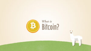 I bitcoin, la nuova moneta virtuale