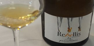 Nasce Rebellis, il nuovo vino da uve Solaris firmato Giannitessari