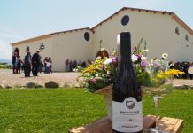 A Serdiana, nel basso Campidano, la nuova cantina dei vini di Antonella Corda
