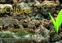 Apre a Pavia la mostra di “social art” AgriCultures, Acqua Terra Uomo