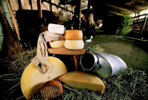 Formandi, la due giorni del formaggio di malga a Sutrio, in Carnia