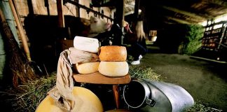 Formandi, la due giorni del formaggio di malga a Sutrio, in Carnia