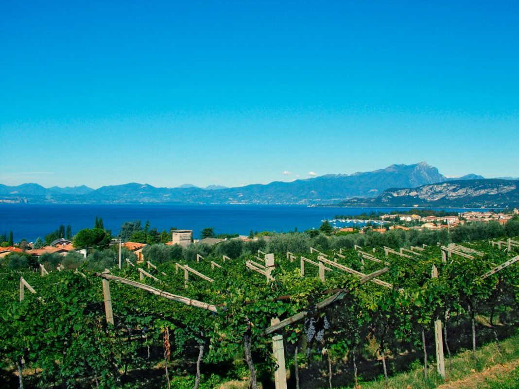 Il Garda tra le dieci destinazioni vinicole top al mondo