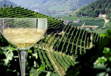 Torna The White Wine Experience al Museo della Marineria di Cesenatico