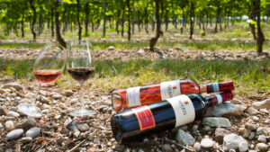 Il Garda tra le dieci destinazioni vinicole top al mondo 