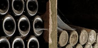 Cantina Terlano: Pinot Bianco 2006, un vino che sfida il tempo