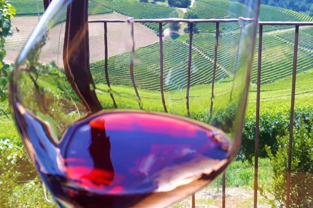 Vino e vigneti in Piemonte. Credits: Ph. Andrea Di Bella