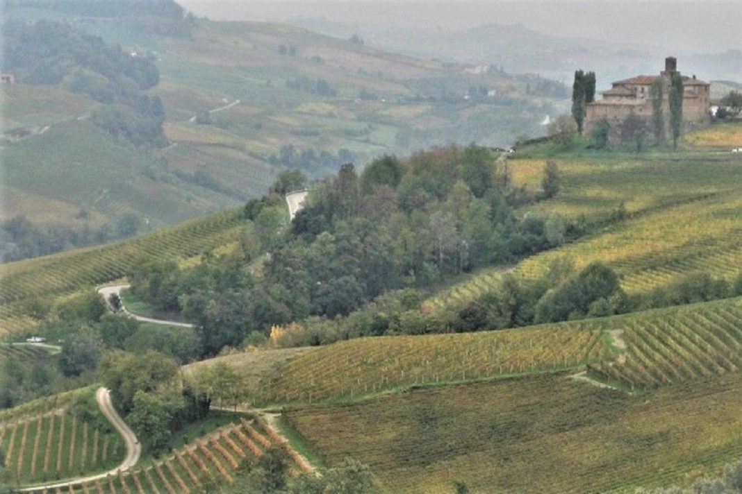 Paesaggio del vino delle Langhe. Credits: Ph. Andrea Di Bella