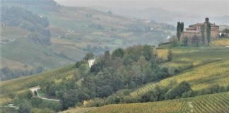 Paesaggio del vino delle Langhe. Credits: Ph. Andrea Di Bella