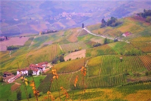 Onde di Bellezza del Paesaggio Unesco di Langhe-Roero e Monferrato. Credits Ph. Andrea Di Bella