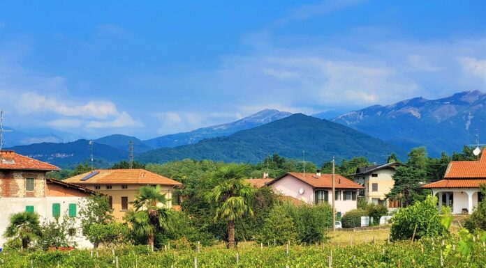 Nord Piemonte: Vigneti di Nebbiolo a Lessona. Ph. Credits Andrea Di Bella