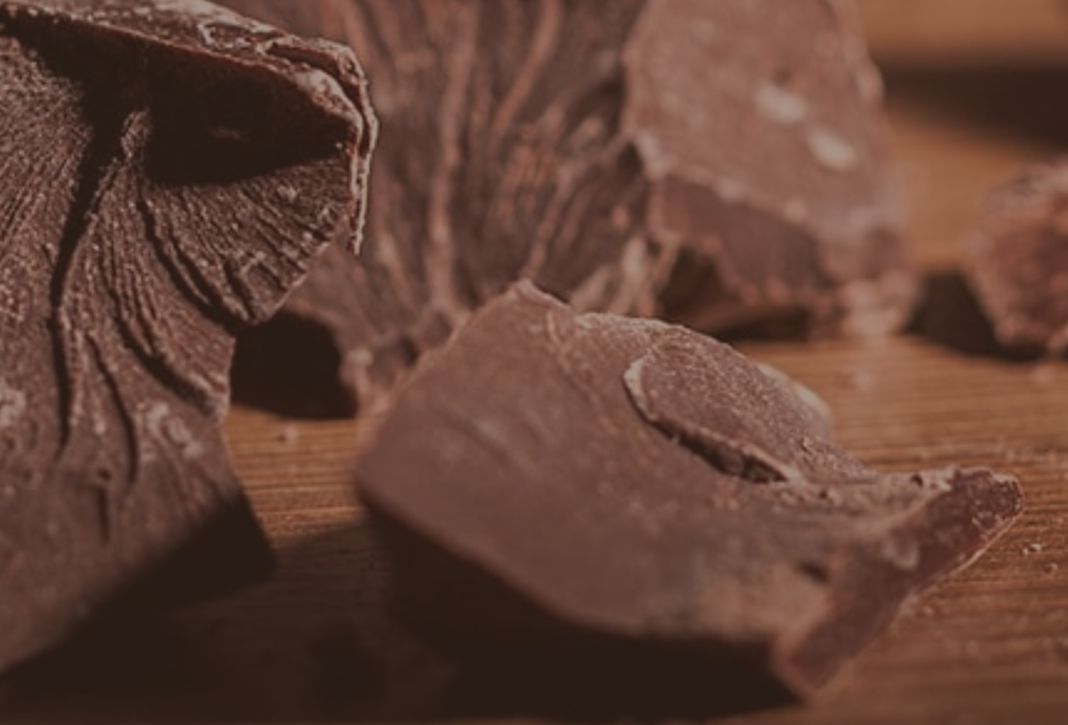 cultura del cioccolato