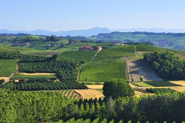 Paesaggio agrario in Piemonte. Ph. Credits Andrea Di Bella