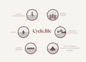 Cycle_Life