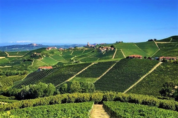 Paesaggio vitivinicolo del Nizza Docg. Credits Andrea Di Bella