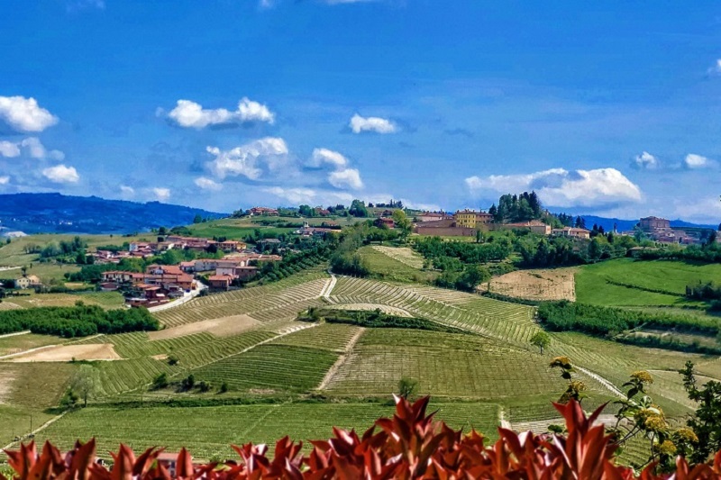 Paesaggio vitivinicolo nel Roero. Credits Andrea Di Bella