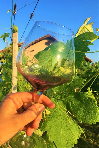 Monferrato Wine Festival: degustazioni in vigna. Photo credit Andrea Di Bella