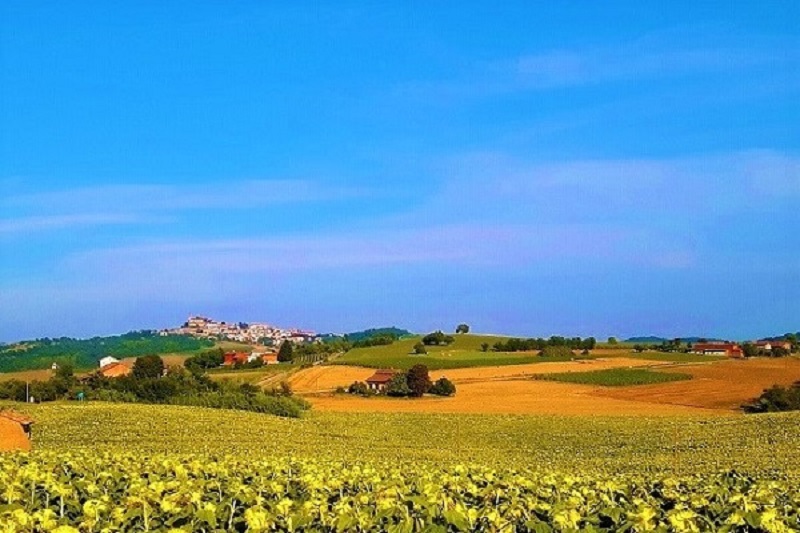Paesaggio del Monferrato. Photocredits Andrea Di Bella
