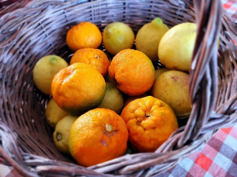 Varietà di arance e limoni. Photocredits Andrea Di Bella