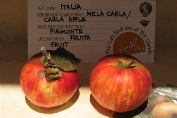 Varietà di mele. Photocredits Andrea Di Bella