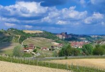 Bellezza delle Colline Unesco di Langhe-Roero e Monferrato. Credits Andrea Di Bella