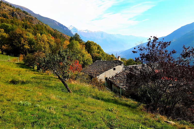 Baite in autunno in Alta Valle di Susa. Credits Andrea Di Bella