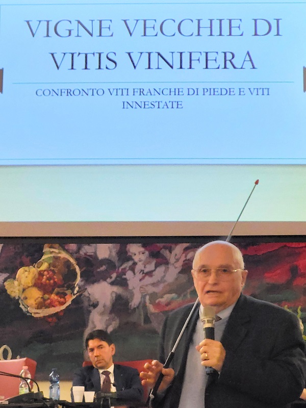 Il professore Mario Fregoni, Presidente onorario di Oiv. parla di viticoltura e cambiamenti climatici. Credits Andrea Di Bella